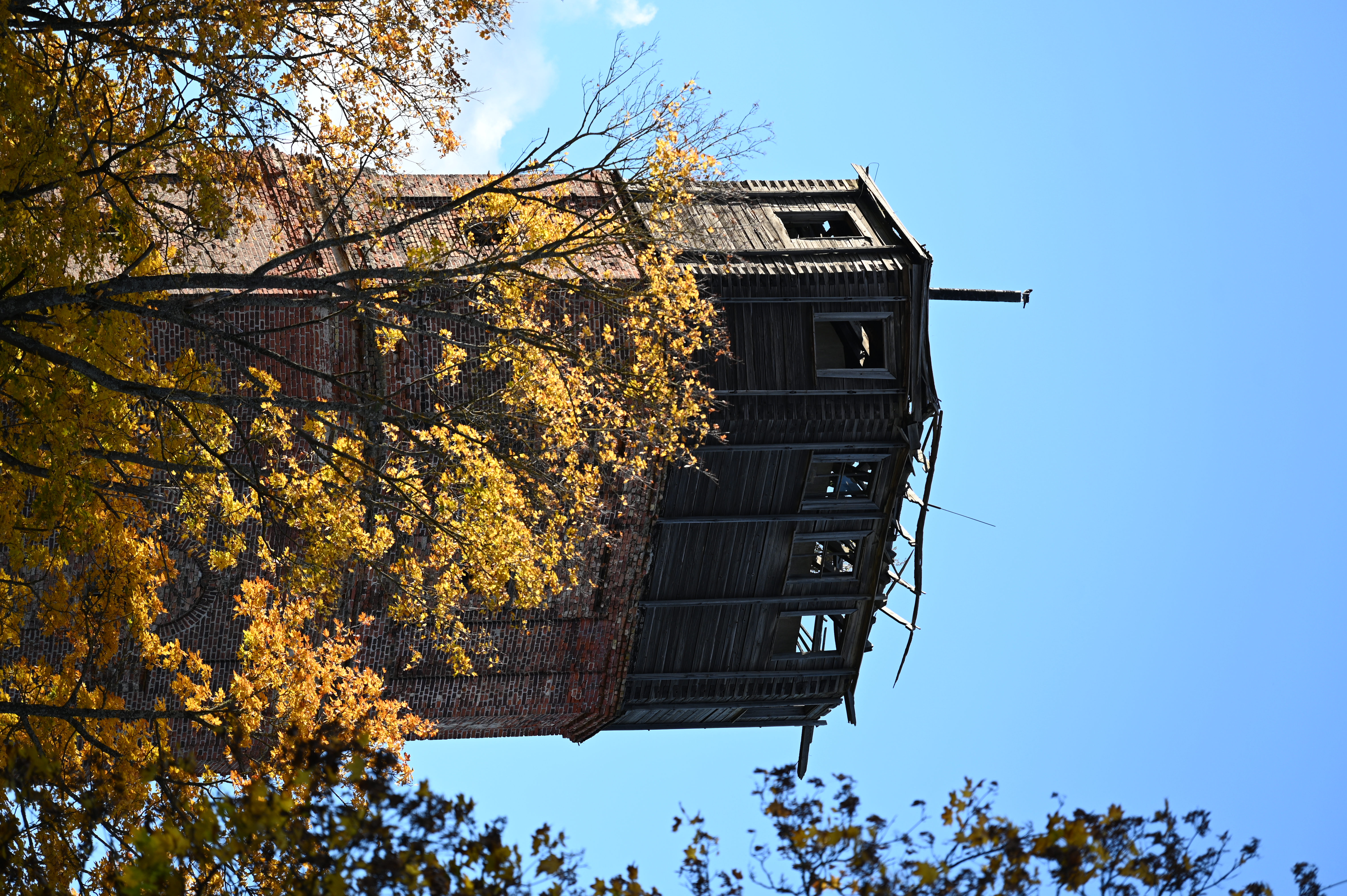 2025/10/18 - walk/DSC_0117.JPG